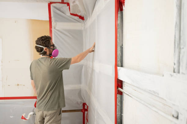 Best Mold Damage Restoration  in Vicksburg, MS