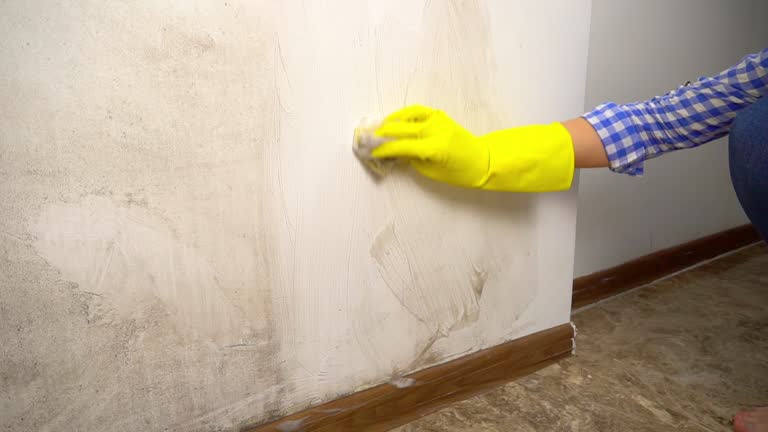  Vicksburg, MS Mold Removal Pros